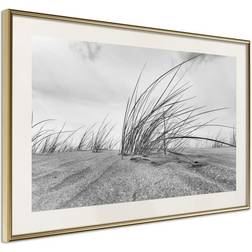 Arkiio Affisch Seaside Reed [Poster] 30x20 Poster